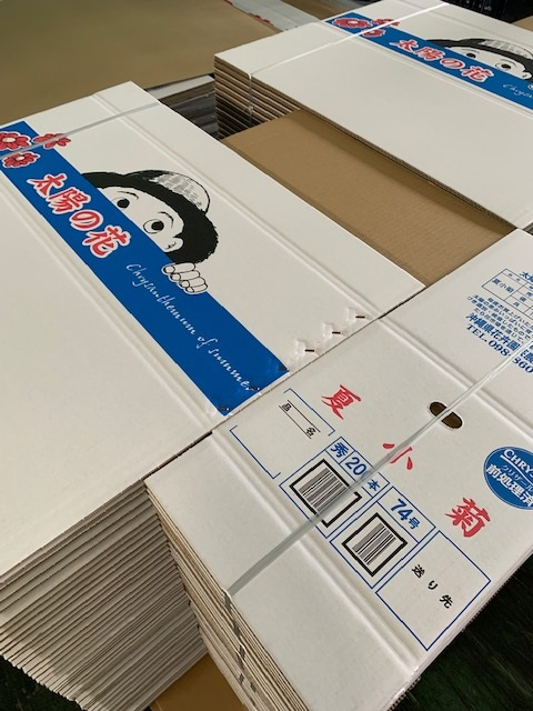 出荷箱(夏秋菊)