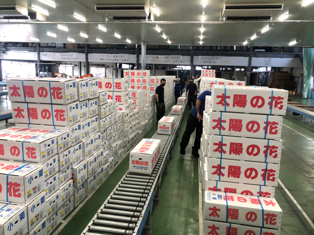 集配センター②