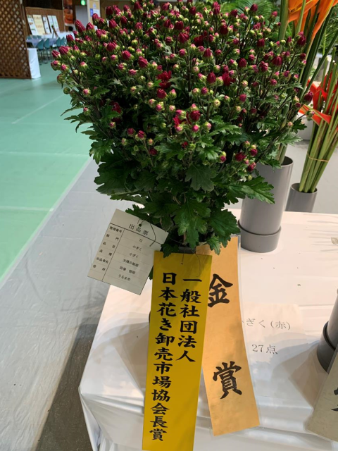 品評会 ⑩