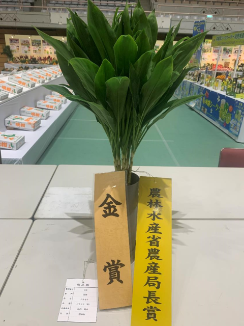 品評会 ⑫