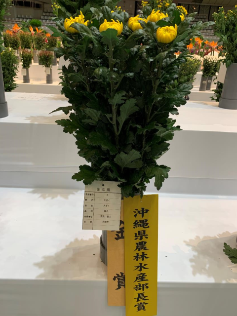 品評会 ⑧