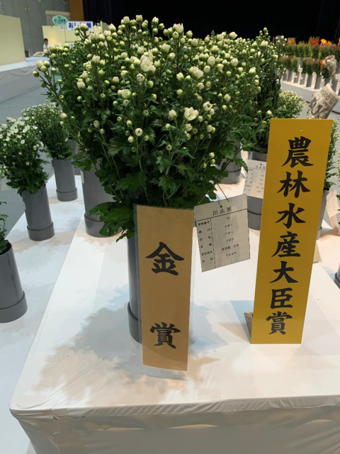 品評会 ⑨