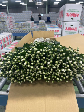 出荷物2