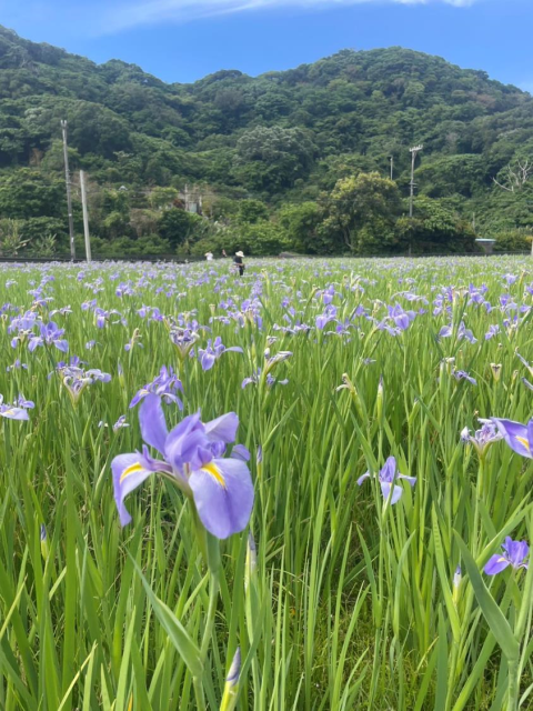 オクラレルカ