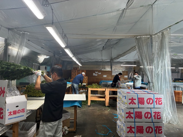 総務ブログ②