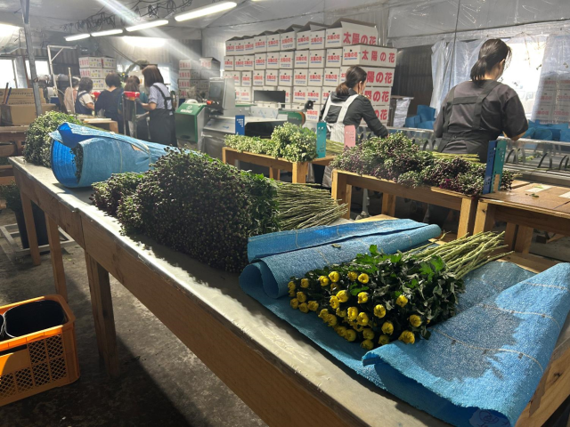 花束パック②