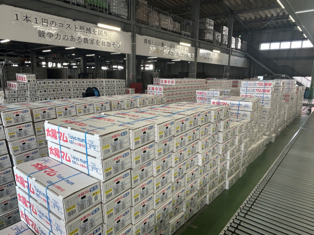 彼岸販売商戦②