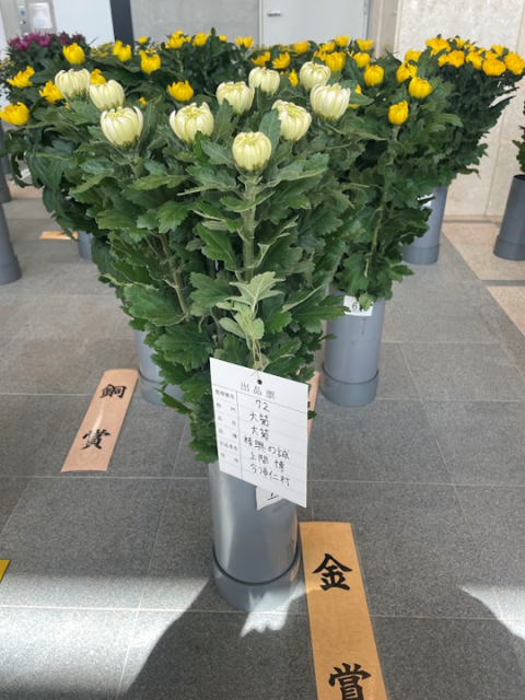 品評会1