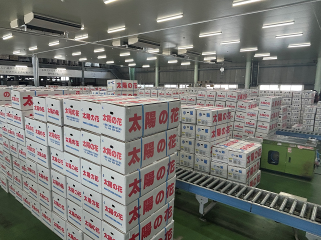 彼岸販売商戦①