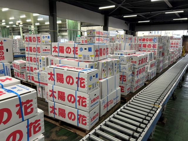 彼岸販売商戦③