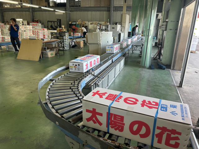 彼岸商戦1