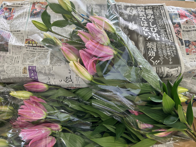 百合②
