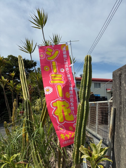 中部センター