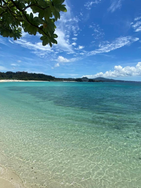 海