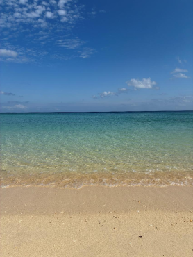 海