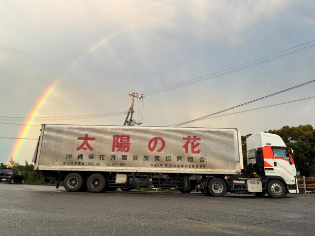 虹