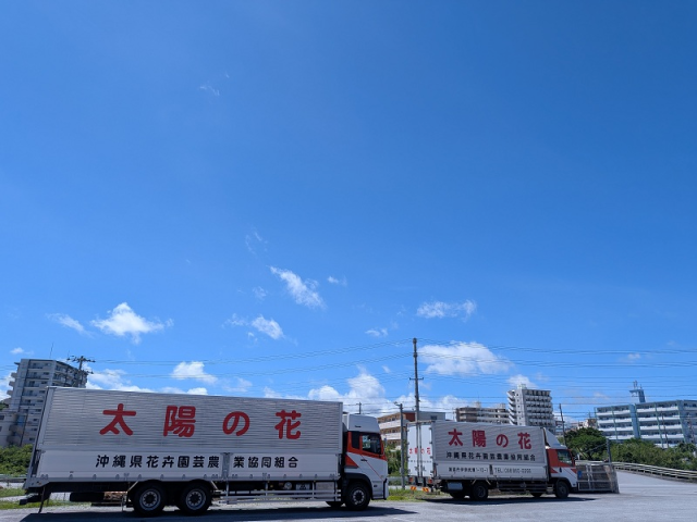 北部だより①