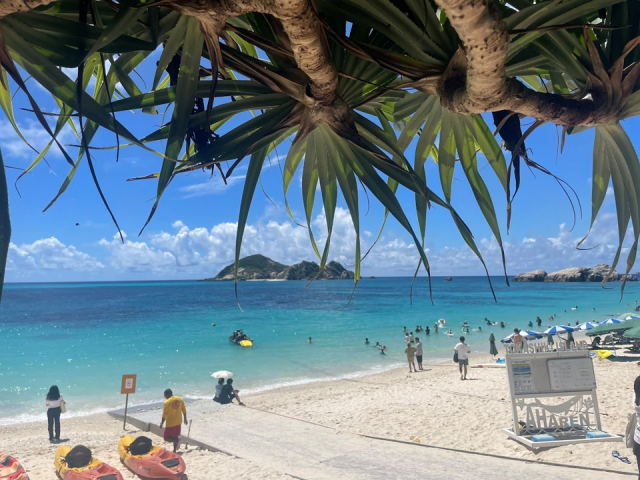 海